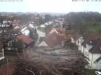 Archiv Foto Webcam Storchennest Bad Waldsee 15:00