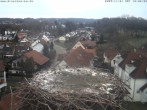 Archiv Foto Webcam Storchennest Bad Waldsee 08:00