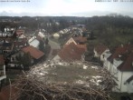 Archiv Foto Webcam Storchennest Bad Waldsee 10:00