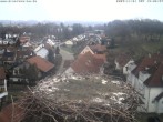 Archiv Foto Webcam Storchennest Bad Waldsee 11:00