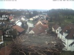 Archiv Foto Webcam Storchennest Bad Waldsee 07:00