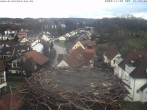 Archiv Foto Webcam Storchennest Bad Waldsee 13:00