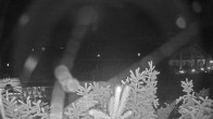 Archiv Foto Webcam Fuschlsee: Ebners Waldhof 01:00