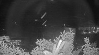 Archiv Foto Webcam Fuschlsee: Ebners Waldhof 01:00