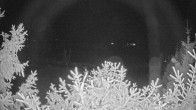 Archiv Foto Webcam Blick auf den Fuschlsee von Ebners Waldhof 03:00