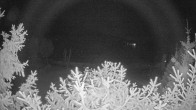 Archiv Foto Webcam Blick auf den Fuschlsee von Ebners Waldhof 23:00
