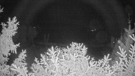 Archiv Foto Webcam Blick auf den Fuschlsee von Ebners Waldhof 23:00