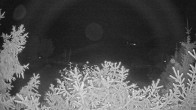 Archiv Foto Webcam Blick auf den Fuschlsee von Ebners Waldhof 03:00
