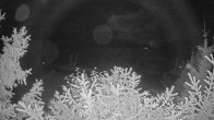 Archiv Foto Webcam Blick auf den Fuschlsee von Ebners Waldhof 01:00