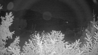 Archiv Foto Webcam Blick auf den Fuschlsee von Ebners Waldhof 23:00