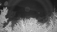 Archiv Foto Webcam Blick auf den Fuschlsee von Ebners Waldhof 23:00