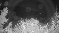 Archiv Foto Webcam Blick auf den Fuschlsee von Ebners Waldhof 23:00