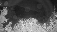 Archiv Foto Webcam Blick auf den Fuschlsee von Ebners Waldhof 01:00
