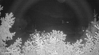 Archiv Foto Webcam Blick auf den Fuschlsee von Ebners Waldhof 23:00