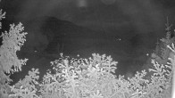 Archived image Webcam View Lake Fuschlsee 03:00