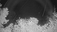 Archived image Webcam View Lake Fuschlsee 23:00