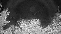 Archived image Webcam View Lake Fuschlsee 01:00