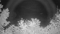 Archiv Foto Webcam Blick auf den Fuschlsee von Ebners Waldhof 23:00