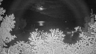 Archiv Foto Webcam Blick auf den Fuschlsee von Ebners Waldhof 23:00
