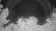 Archiv Foto Webcam Blick auf den Fuschlsee von Ebners Waldhof 01:00
