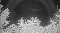 Archiv Foto Webcam Blick auf den Fuschlsee von Ebners Waldhof 01:00