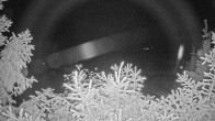 Archived image Webcam View Lake Fuschlsee 01:00