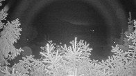 Archiv Foto Webcam Blick auf den Fuschlsee von Ebners Waldhof 01:00