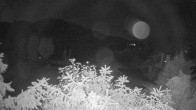 Archiv Foto Webcam Blick auf den Fuschlsee von Ebners Waldhof 23:00