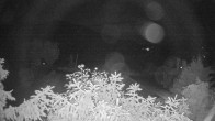 Archiv Foto Webcam Blick auf den Fuschlsee von Ebners Waldhof 23:00