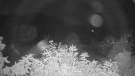 Archiv Foto Webcam Blick auf den Fuschlsee von Ebners Waldhof 01:00