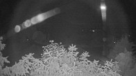 Archiv Foto Webcam Blick auf den Fuschlsee von Ebners Waldhof 23:00