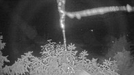 Archiv Foto Webcam Blick auf den Fuschlsee von Ebners Waldhof 23:00