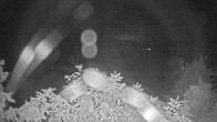 Archiv Foto Webcam Blick auf den Fuschlsee von Ebners Waldhof 23:00