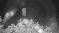 Archiv Foto Webcam Blick auf den Fuschlsee von Ebners Waldhof 01:00