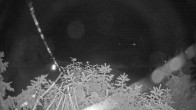 Archiv Foto Webcam Blick auf den Fuschlsee von Ebners Waldhof 23:00