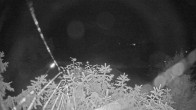 Archiv Foto Webcam Blick auf den Fuschlsee von Ebners Waldhof 01:00