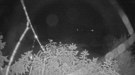 Archiv Foto Webcam Blick auf den Fuschlsee von Ebners Waldhof 23:00