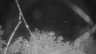 Archiv Foto Webcam Blick auf den Fuschlsee von Ebners Waldhof 01:00