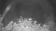 Archived image Webcam View Lake Fuschlsee 23:00