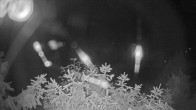 Archived image Webcam View Lake Fuschlsee 01:00