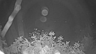 Archived image Webcam View Lake Fuschlsee 23:00
