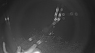 Archiv Foto Webcam Blick auf den Fuschlsee von Ebners Waldhof 23:00