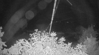 Archived image Webcam View Lake Fuschlsee 23:00
