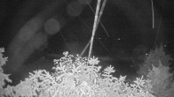 Archived image Webcam View Lake Fuschlsee 01:00