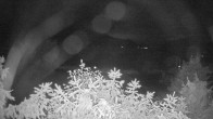 Archived image Webcam View Lake Fuschlsee 23:00