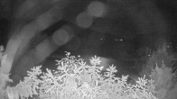 Archiv Foto Webcam Blick auf den Fuschlsee von Ebners Waldhof 23:00