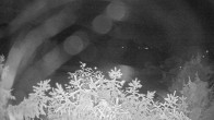 Archiv Foto Webcam Blick auf den Fuschlsee von Ebners Waldhof 01:00