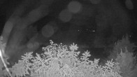 Archived image Webcam View Lake Fuschlsee 23:00