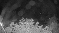 Archived image Webcam View Lake Fuschlsee 01:00