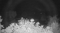 Archiv Foto Webcam Blick auf den Fuschlsee von Ebners Waldhof 23:00